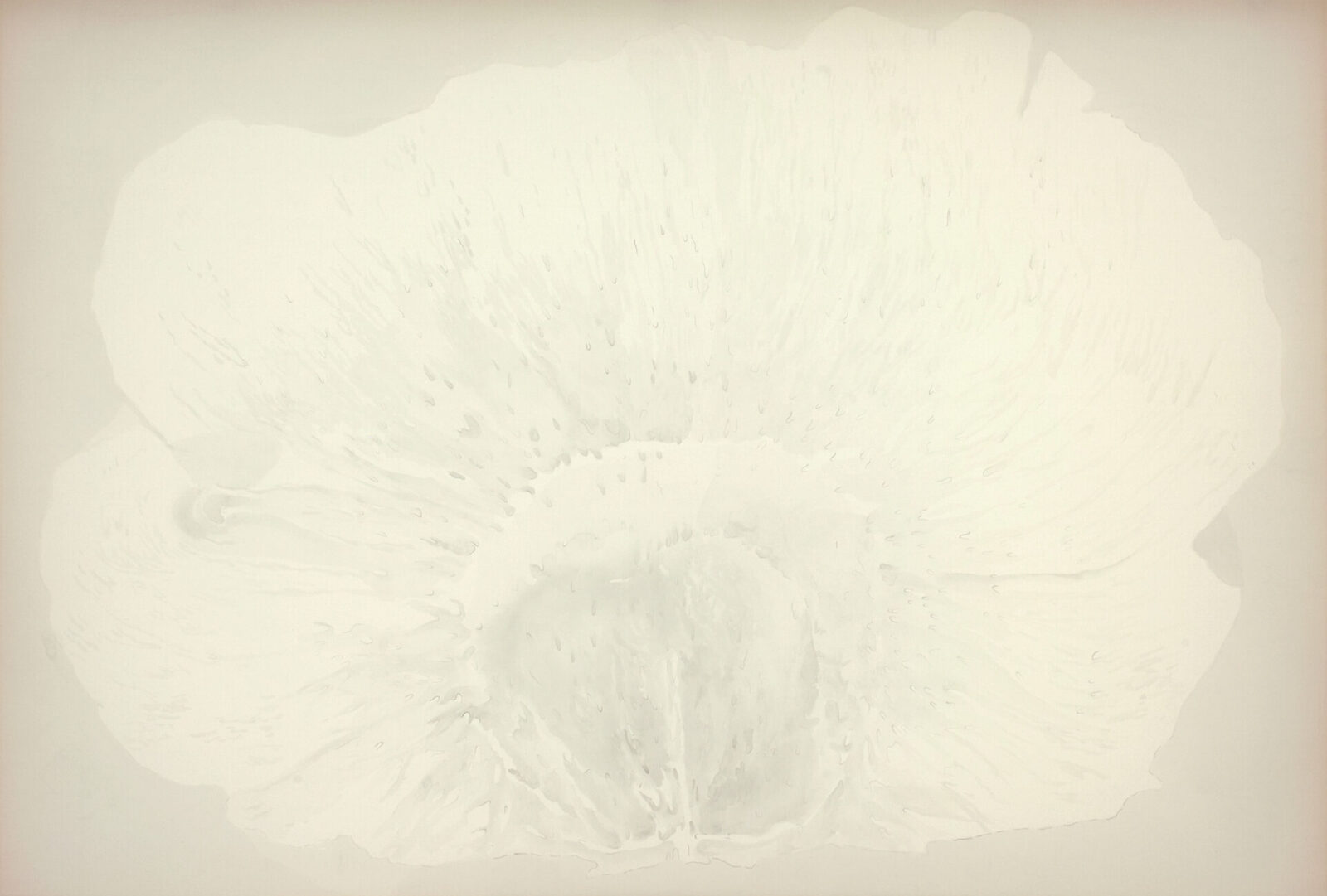 SEAD FLOWER 1