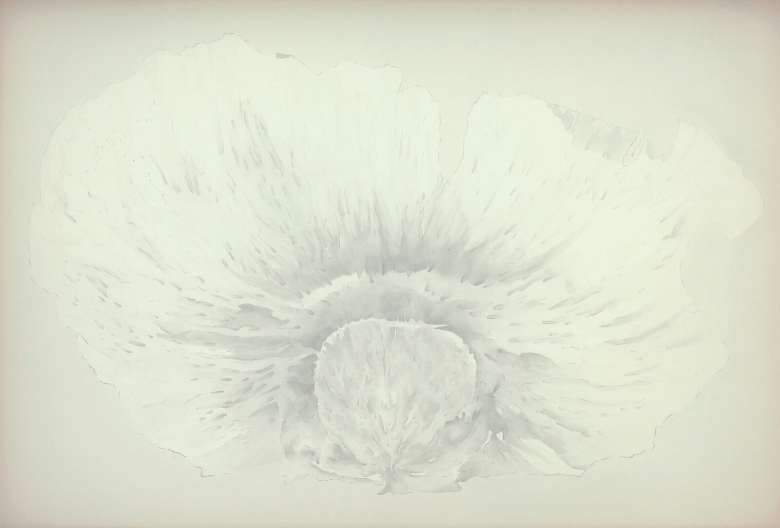 SEAD FLOWER 2