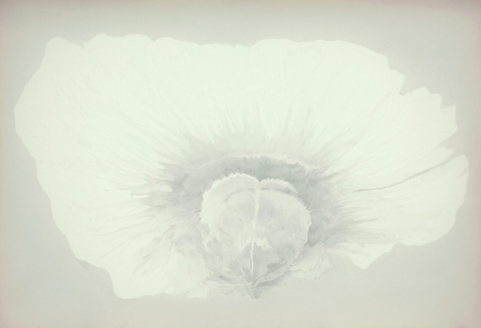 SEAD FLOWER 5