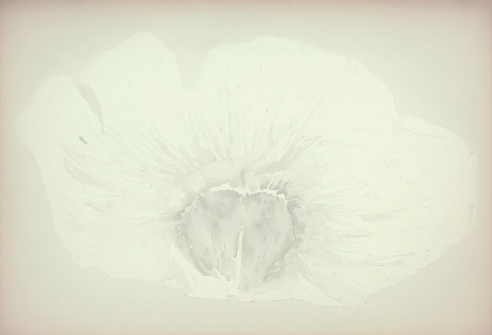 SEAD FLOWER 3
